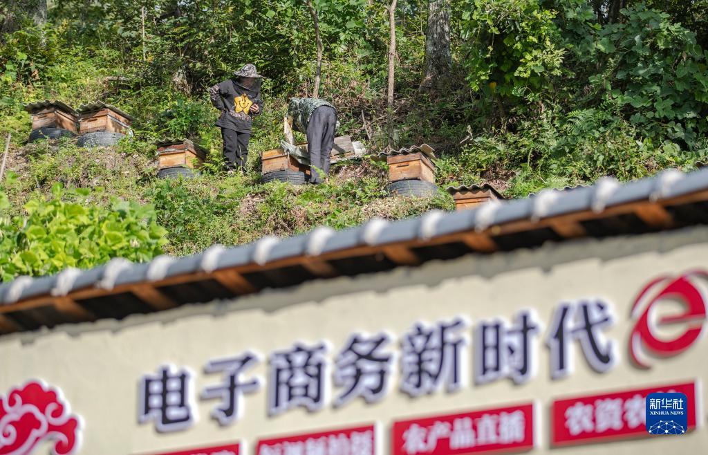 沈阳小太阳网登录